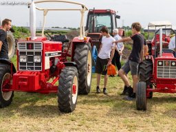 ws 385